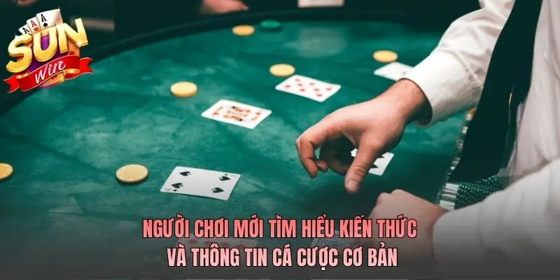 Thủ thuật tắt mở hiệu ứng nhạc nền Sunwin 7 Người chơi theo dõi thông tin cá cược trước khi đặt cược